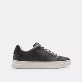 Zapatillas altas en Signature Canvas