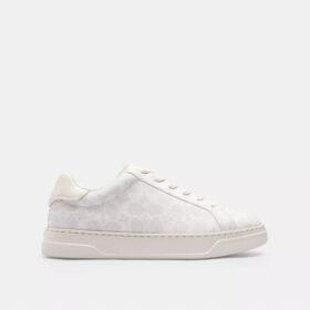 Zapatillas altas en Signature Canvas