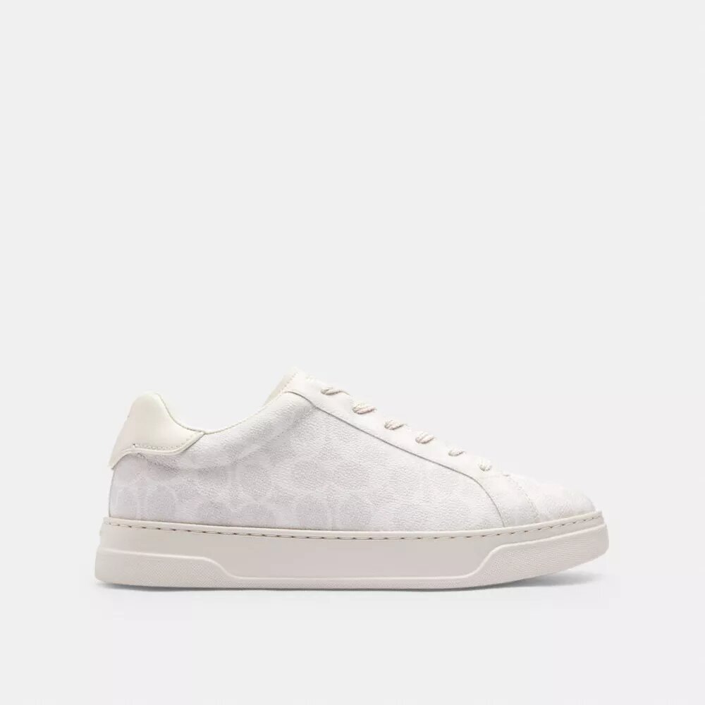 Zapatillas altas en Signature Canvas
