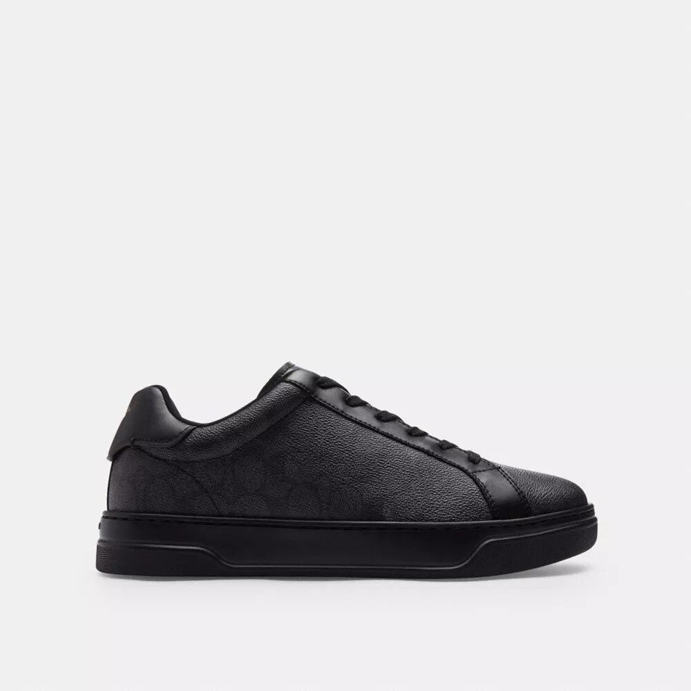 Zapatillas altas en Signature Canvas