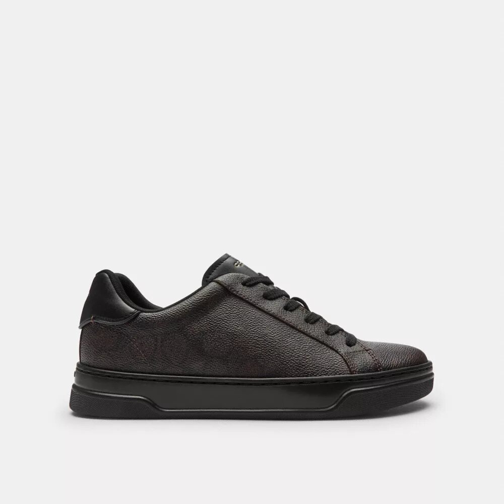 Zapatillas altas en Signature Canvas