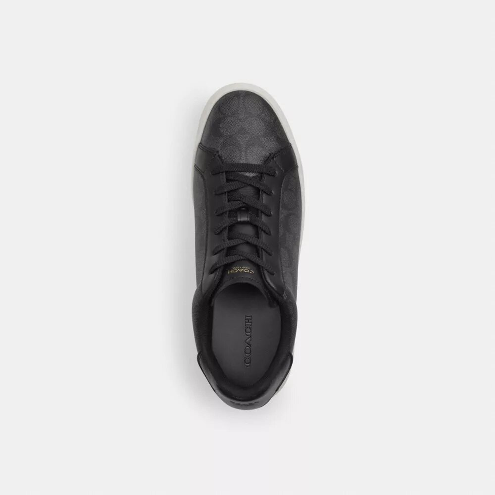 Zapatillas altas en Signature Canvas