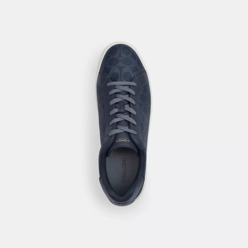 Zapatillas altas en Signature Canvas
