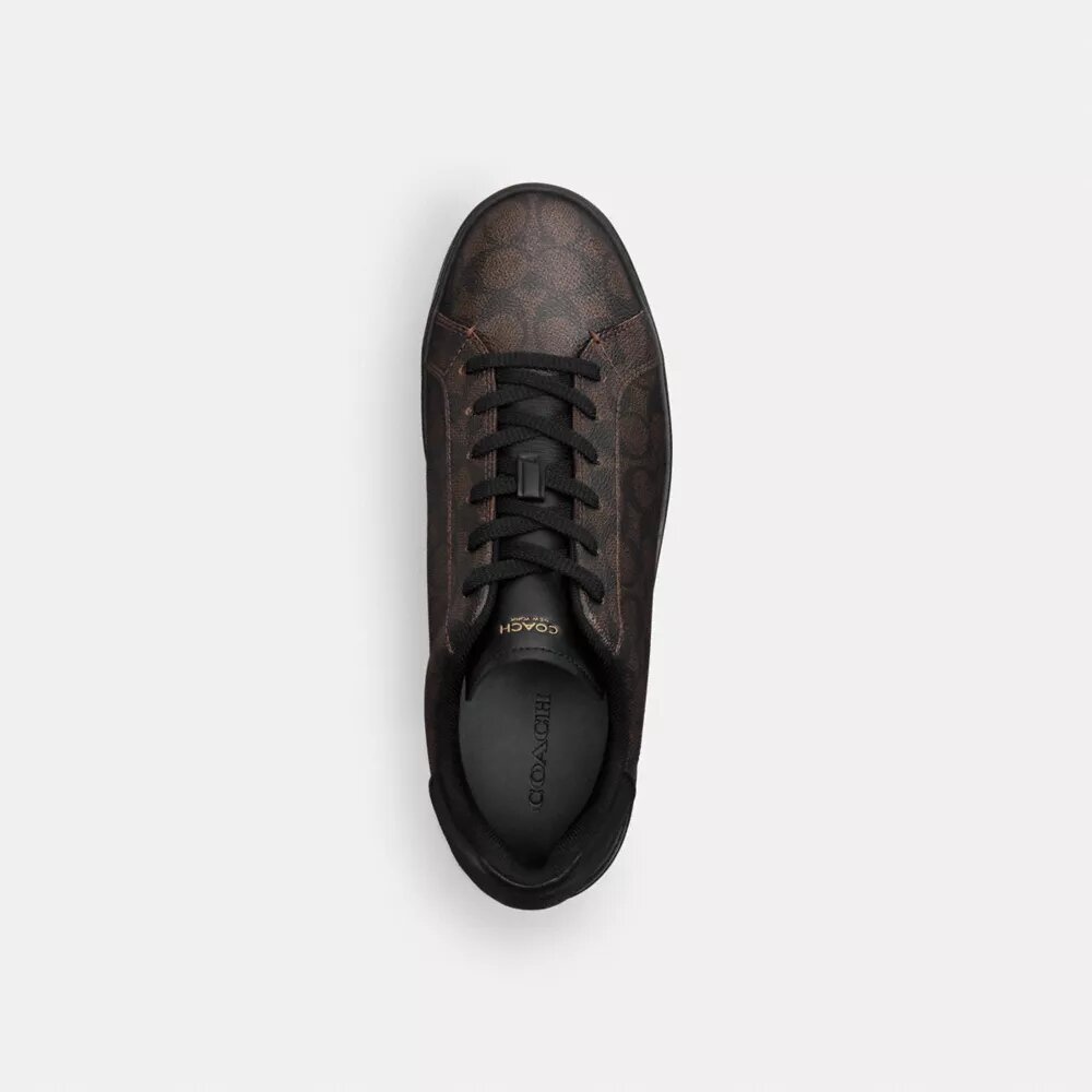 Zapatillas altas en Signature Canvas