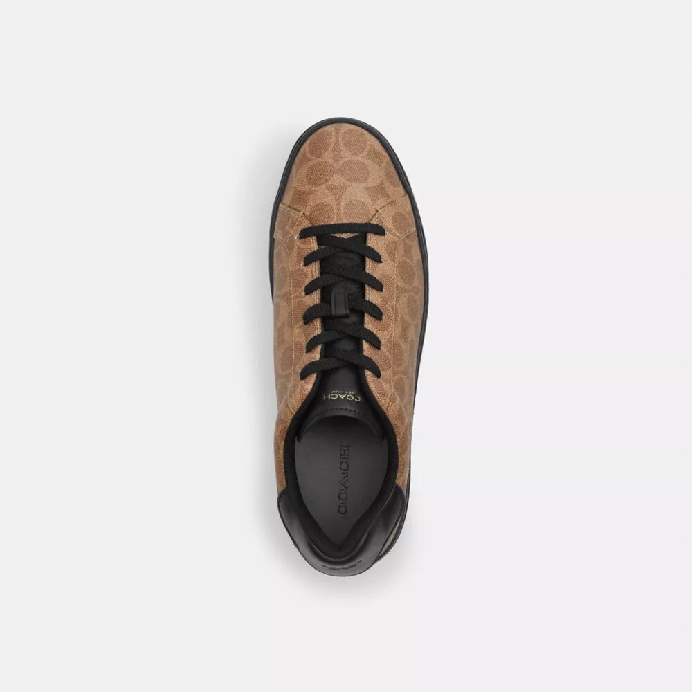 Zapatillas altas en Signature Canvas