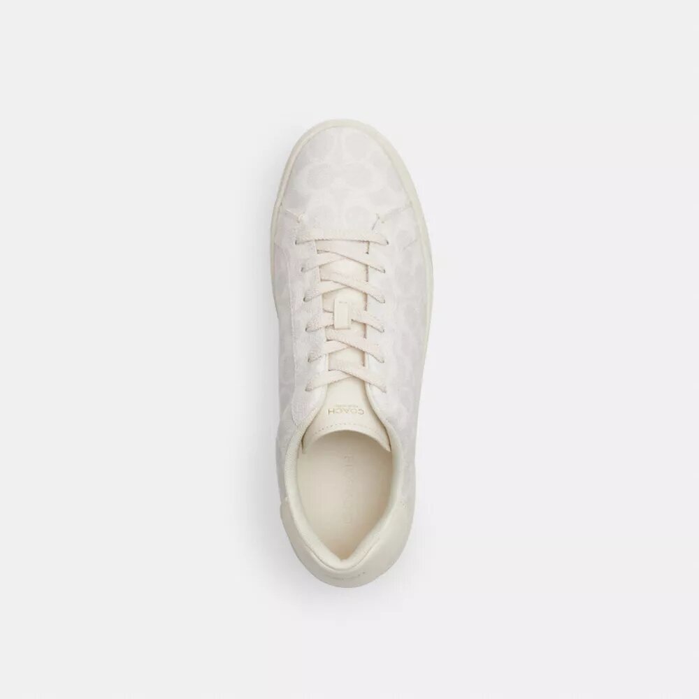 Zapatillas altas en Signature Canvas