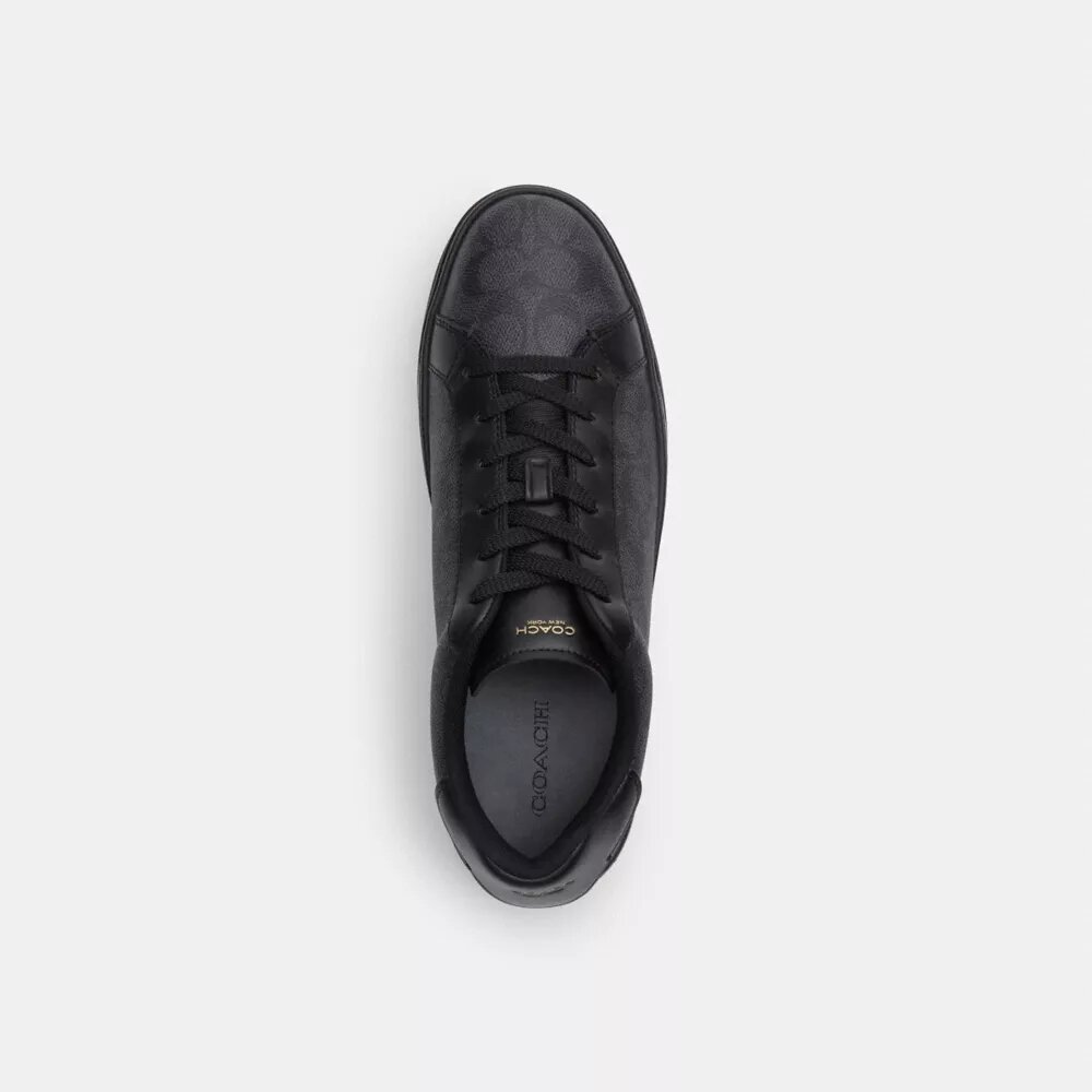 Zapatillas altas en Signature Canvas