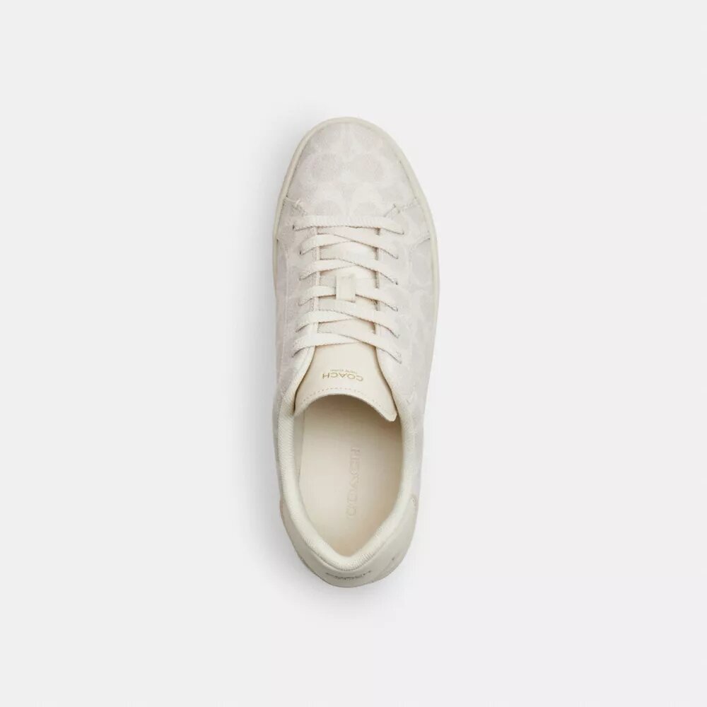Zapatillas altas en Signature Canvas