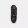 Zapatillas altas en Signature Canvas