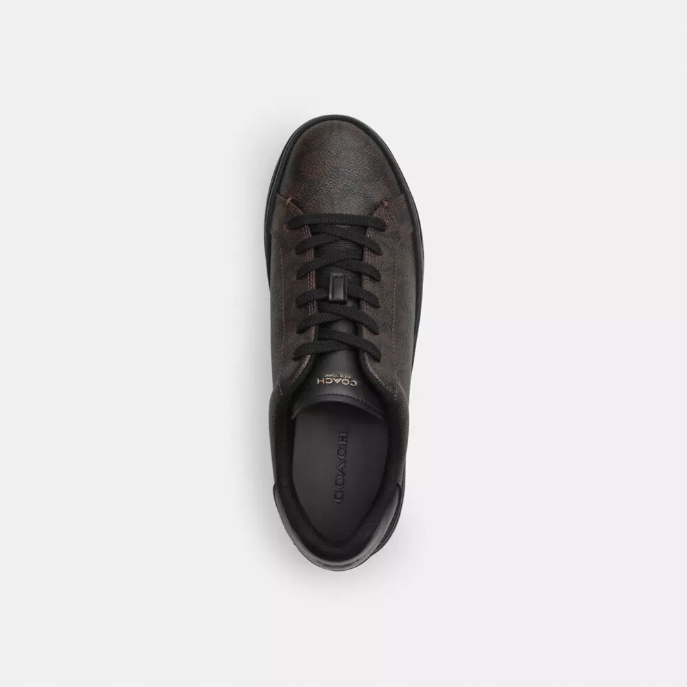 Zapatillas altas en Signature Canvas
