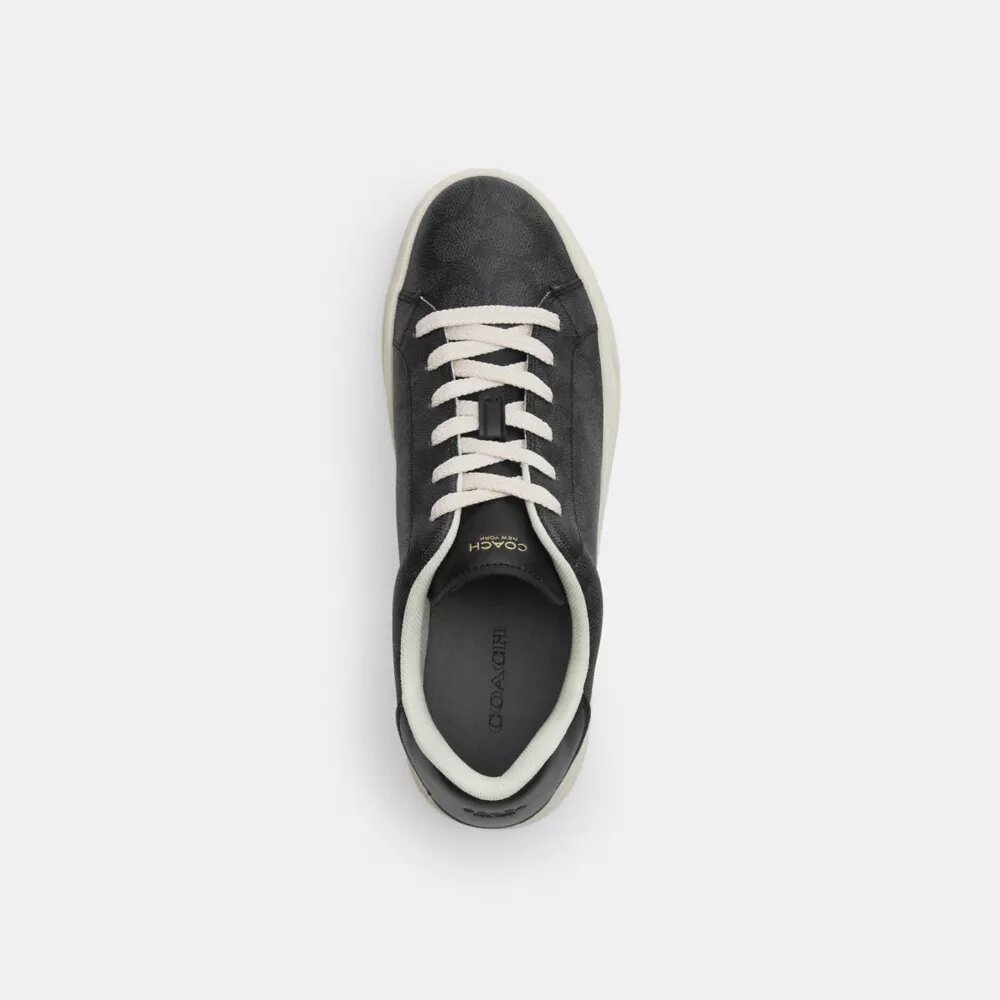 Zapatillas altas en Signature Canvas