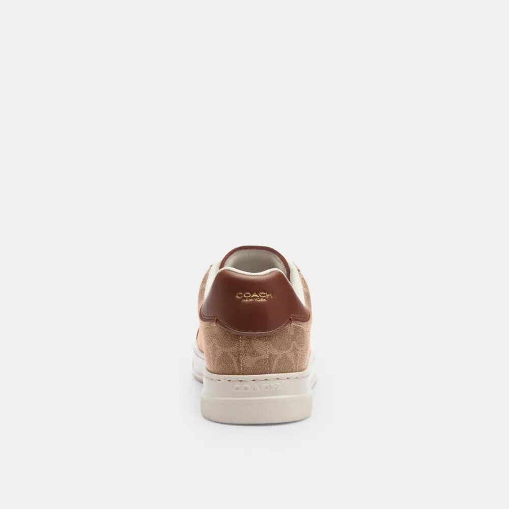 Zapatillas altas en Signature Canvas