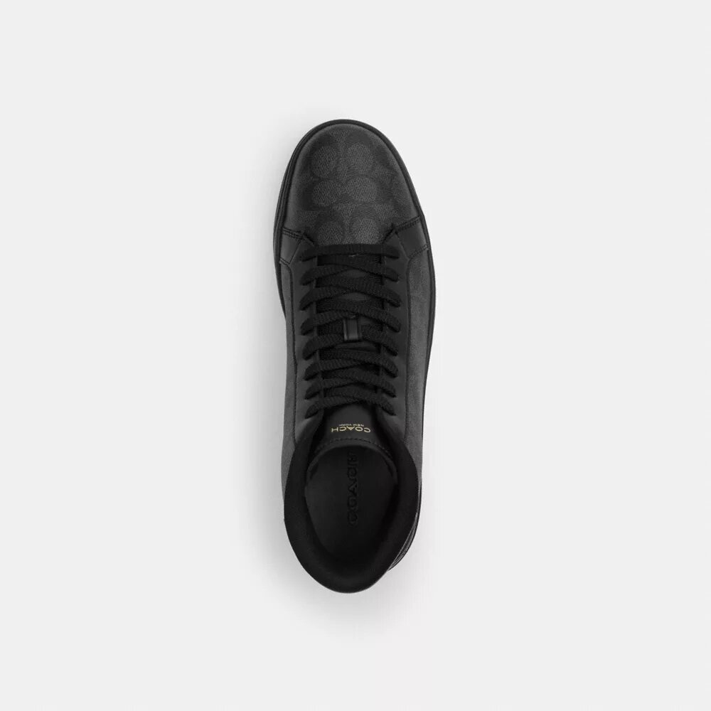 Zapatillas altas High Line en Signature Canvas