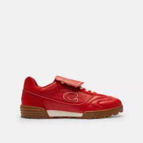 Zapatillas Match