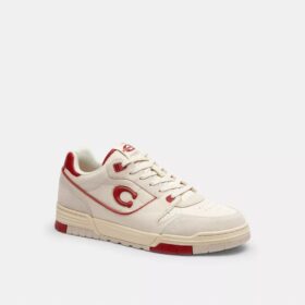 Zapatillas Soho