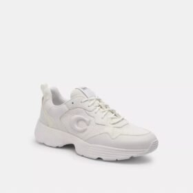 Zapatillas Strider en Signature Canvas
