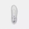 Zapatillas Strider en Signature Canvas