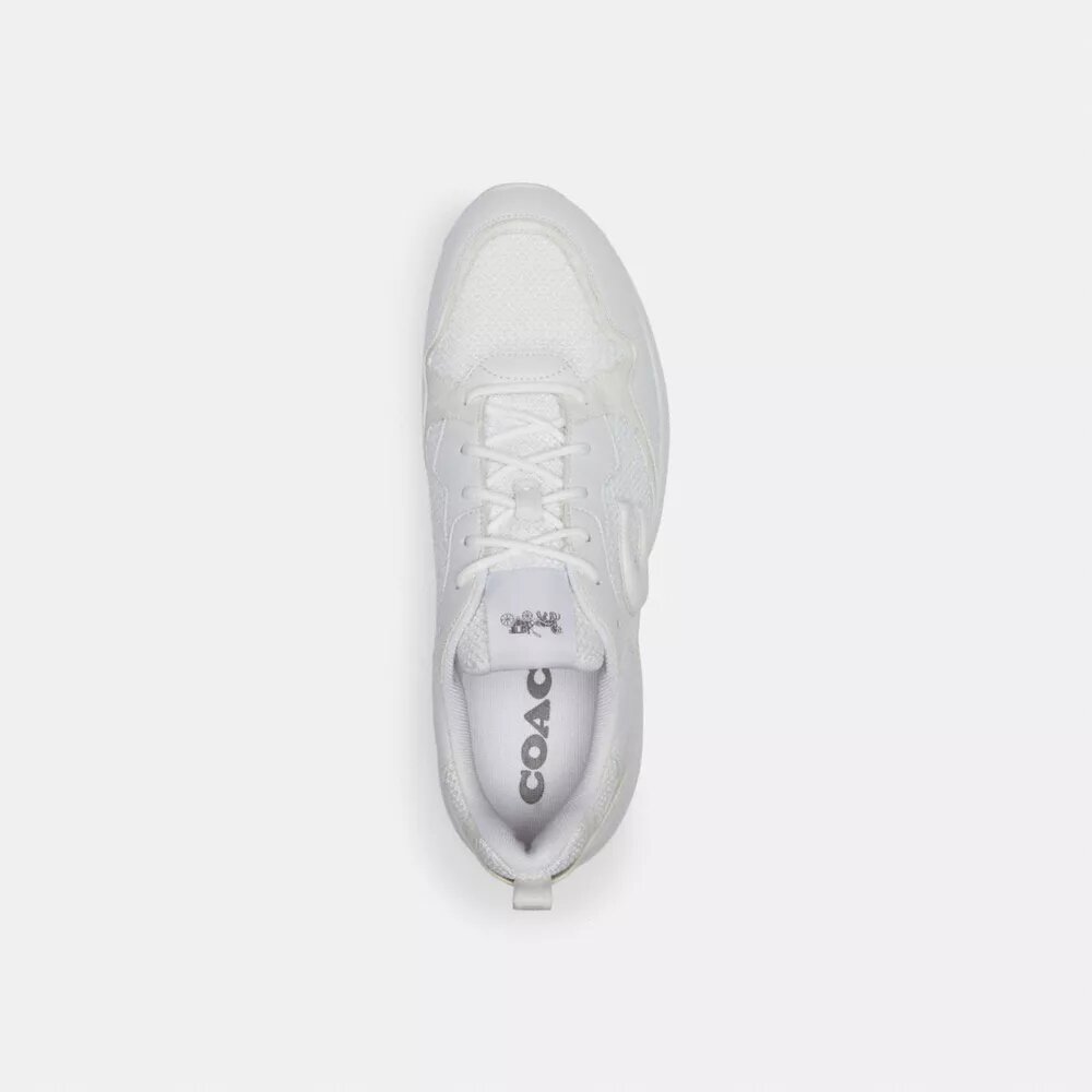 Zapatillas Strider en Signature Canvas