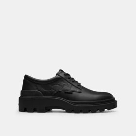 Zapatos Derby Cameron en piel exclusiva