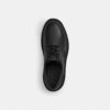 Zapatos Derby Cameron en piel exclusiva